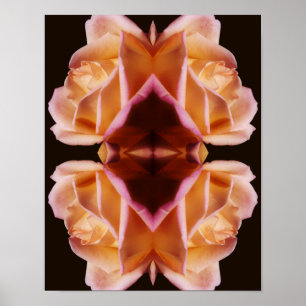 Gultens Rosenknopp Flower Speglad bild tonad Poster