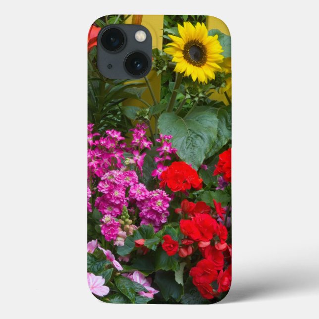 Gultens väljarstängsel med blomsterträdgård i (Baksida)