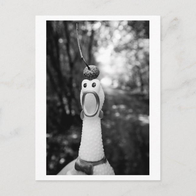 Gummikyckling med ekollonhatt vykort (Framsida)