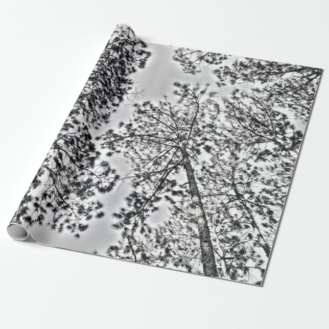 Gumtree som slår in papper presentpapper (Utrullad)