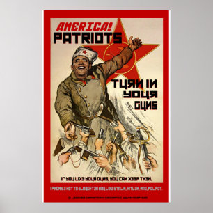Gun Confiscation - 2:a ändringen Poster