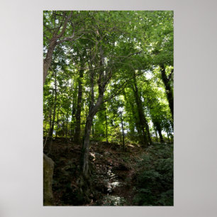 Gunga och trädaffisch poster