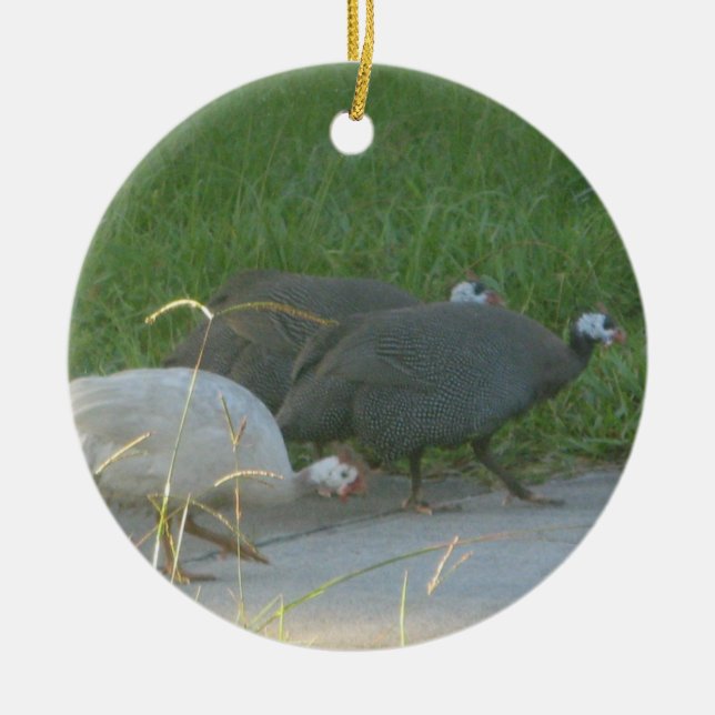 Guniea Fowl Ornament (Framsidan)