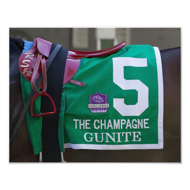 Gunite Saddlecloth Photo Print Fototryck (Framsidan)