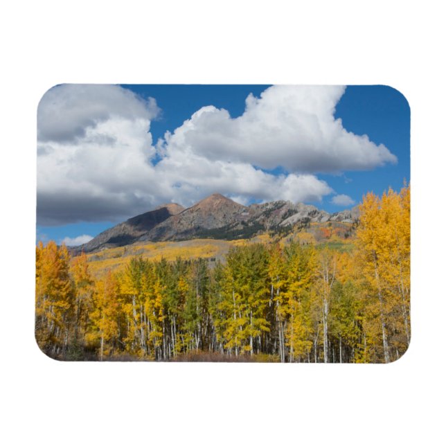 Gunnison National Forest, Colorado Magnet (Horisontell)