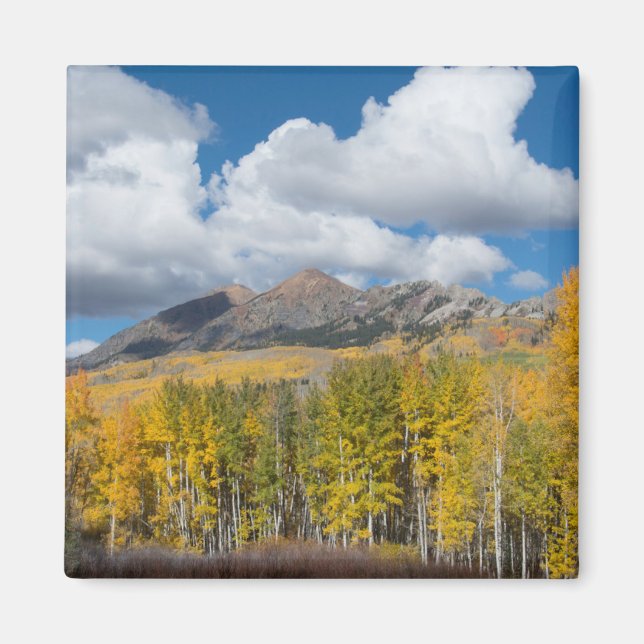Gunnison National Forest, Colorado Magnet (Framsidan)