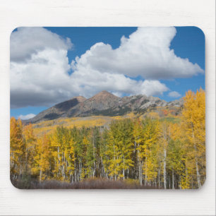 Gunnison National Forest, Colorado Musmatta