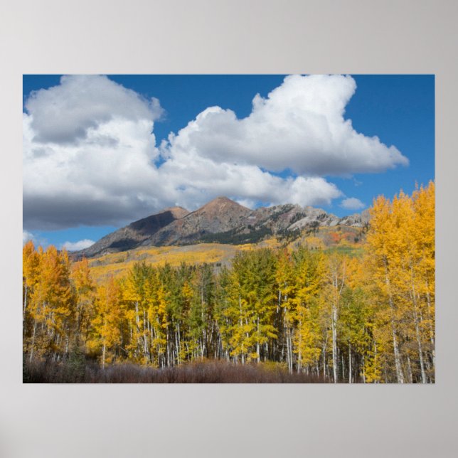 Gunnison National Forest, Colorado Poster (Framsidan)