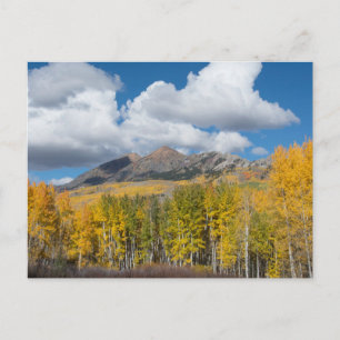 Gunnison National Forest, Colorado Vykort