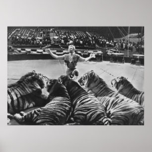 Gunther Gebel-Williams 1969 Poster