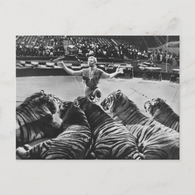 Gunther Gebel-Williams 1969 Vykort (Framsida)