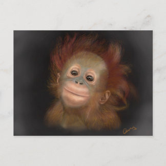 Gunung Baby Orangutan Vykort