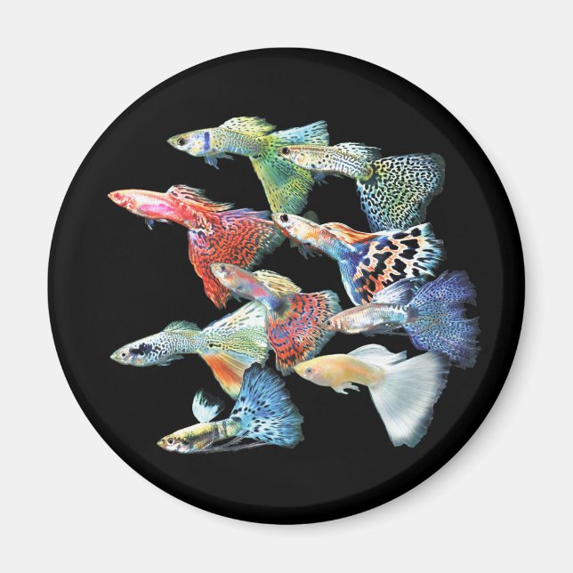 Guppies Magnet (Framsidan)