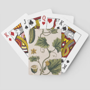 Gurkor, tallrik 4 från "A Nyfiken Herbal". Casinokort