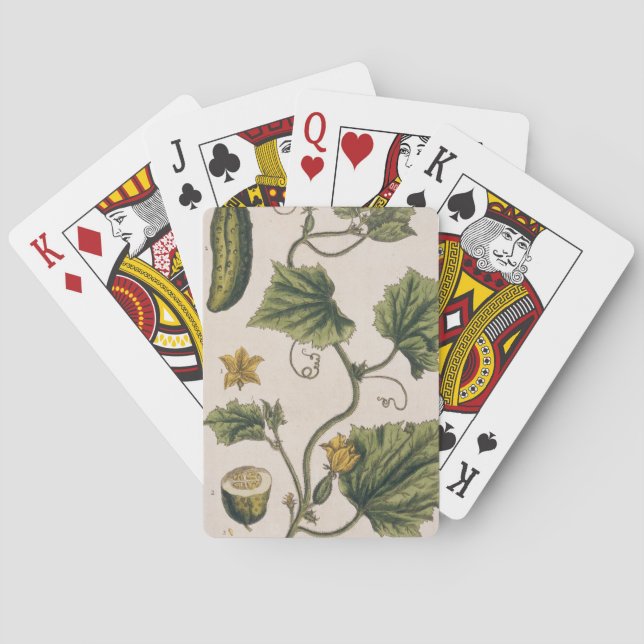 Gurkor, tallrik 4 från "A Nyfiken Herbal". Casinokort (Baksidan)