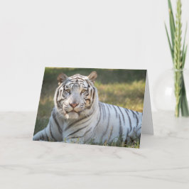 Gus - kort - anpassadet hälsning