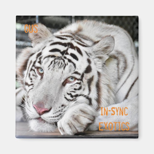 Gus - magnet (Framsidan)