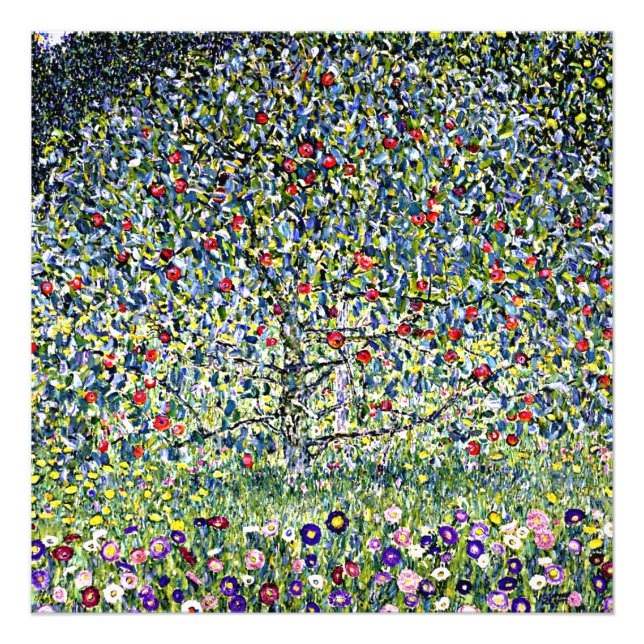 Gustav Klimt - Apple Träd, 1 Fototryck (Framsidan)