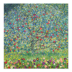 Gustav Klimt - Apple Träd Fototryck