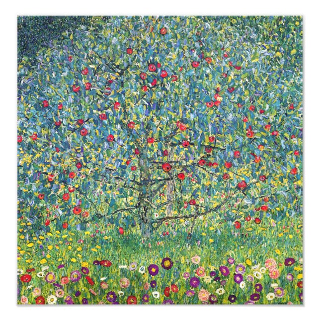 Gustav Klimt - Apple Träd Fototryck (Framsidan)