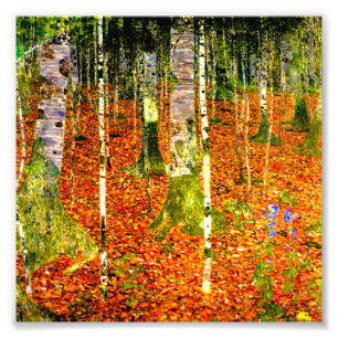 Gustav Klimt Birch Träd Fototryck