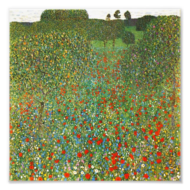 Gustav Klimt Poppy Fält Fototryck (Framsidan)