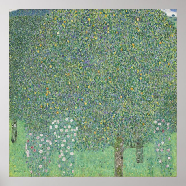 Gustav Klimt - Rosebuskar under Träd Poster (Framsidan)