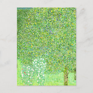 Gustav Klimt, rosenbuskar under träden Vykort