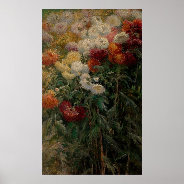 Gustave Caillebotte Chrysanthemums Poster (Framsidan)