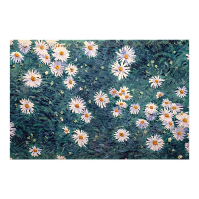 Gustave Caillebotte - Rabatt med prästkragar, deta Fototryck (Framsidan)
