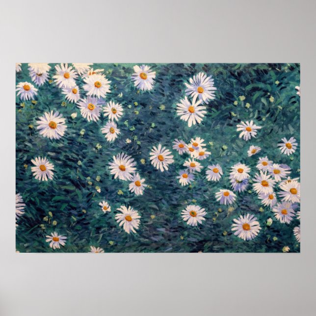 Gustave Caillebotte - Rabatt med prästkragar, deta Poster (Framsidan)