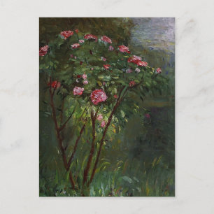 Gustave Caillebotte-Ro Bush i Flower Vykort