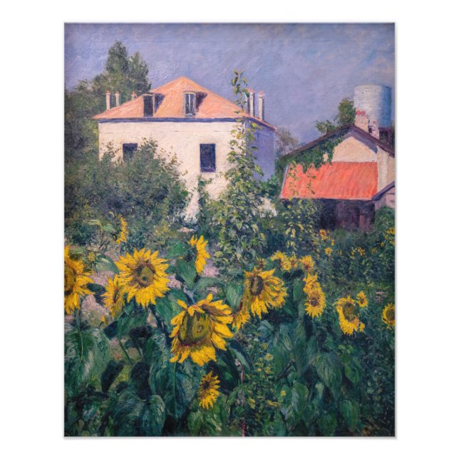 Gustave Caillebotte - Solros, Trädgård Fototryck (Framsidan)