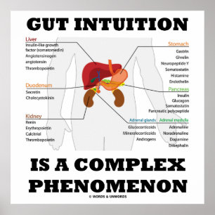Gut Intuition är en komplex fenomenon endokrin Poster