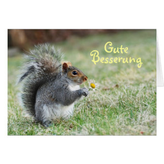 Gute Besserung Cute Squirrel Card Hälsningskort