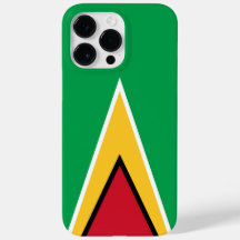 Guyana flagga