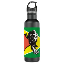 Guyana Flagga 03