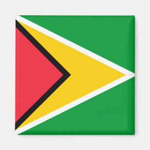 Guyana Flagga Magnet