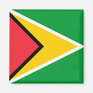 Guyana Flagga Magnet