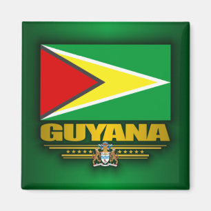 Guyana flagga magnet