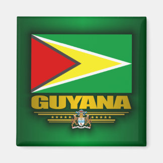Guyana Flagga Magnet