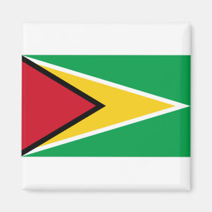 Guyana Flagga Magnet