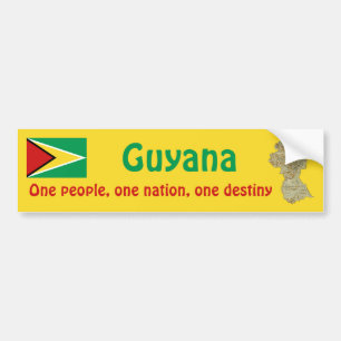Guyana Flagga och Kart Dekal