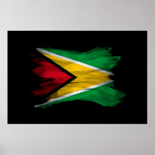 Guyana flagga-penseldrag, nationell flagga poster