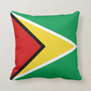 Guyana Flagga x Flagga Pillow Kudde
