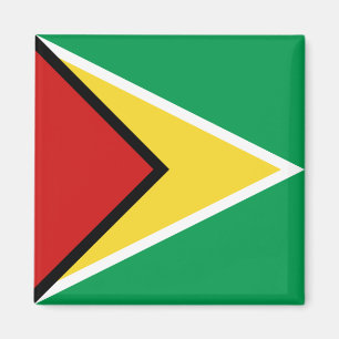 Guyana flaggamagnet magnet