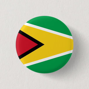 Guyana (Guyana)-Flagga Knapp
