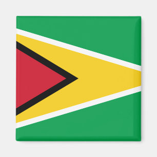 Guyana (Guyana)-Flagga Magnet