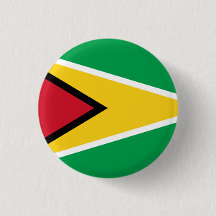 Guyana Guyanese Flagga Independence Kingdom Knapp