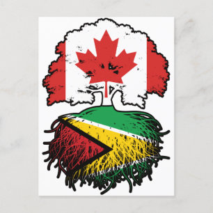 Guyana Guyansk Kanadensare Kanada Träd Rötter Flag Vykort